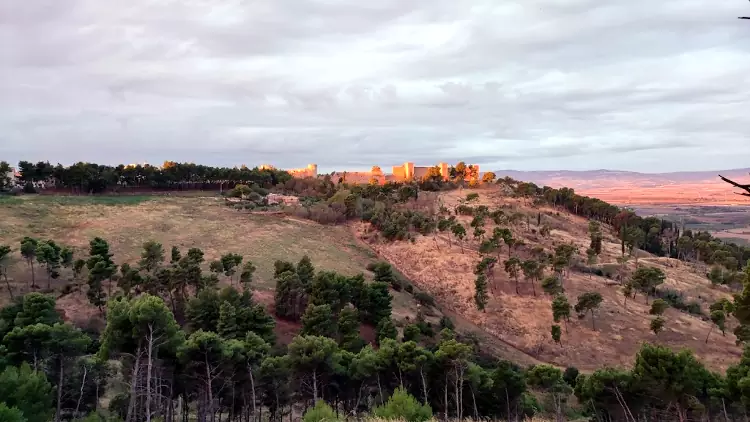 La fortezza di Lucera eretta da Federico II vista dal boschetto di Colle Belvedere.