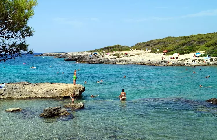 Il meraviglioso ambiente naturale di Porto Selvaggio, con la scogliera e tanto verde.